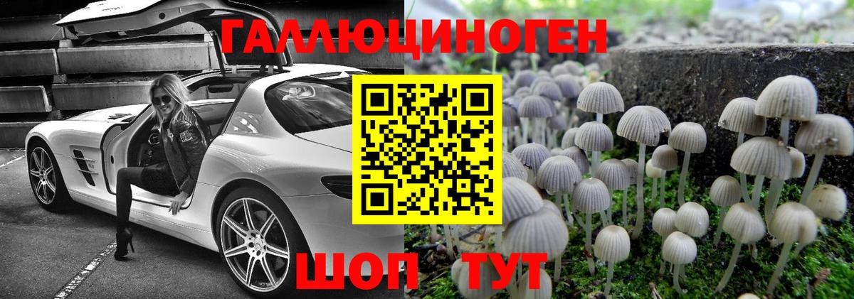 Минусинск  купить наркотик  Вход с VPN  Галлюциногенные грибы Magic Shrooms 