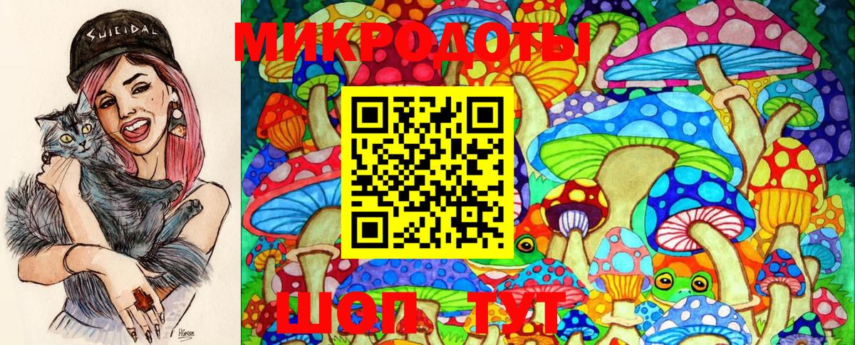 Псилоцибиновые грибы GOLDEN TEACHER Минусинск
